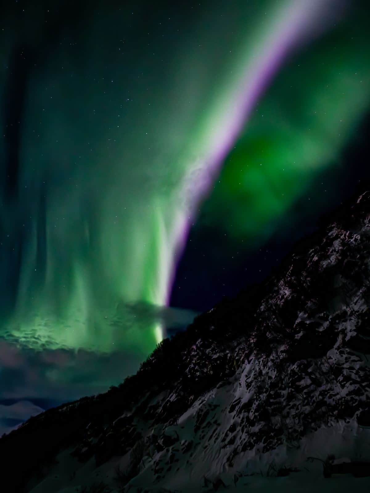 Aurore boréale verte et violette au-dessus d'une montagne enneigée près de Skjervøy